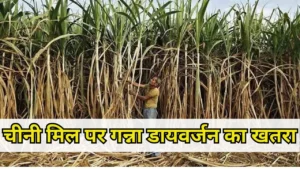 Danger of sugarcane diversion at sugar mill