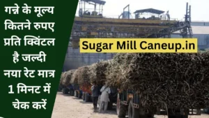 Sugar Mill Caneup.in