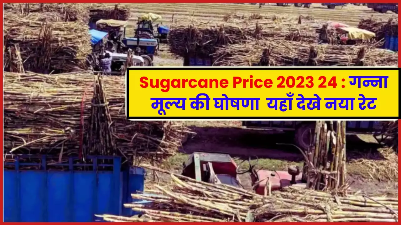 Sugarcane Price 2023 24