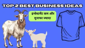 Top 2 Best Business Ideas