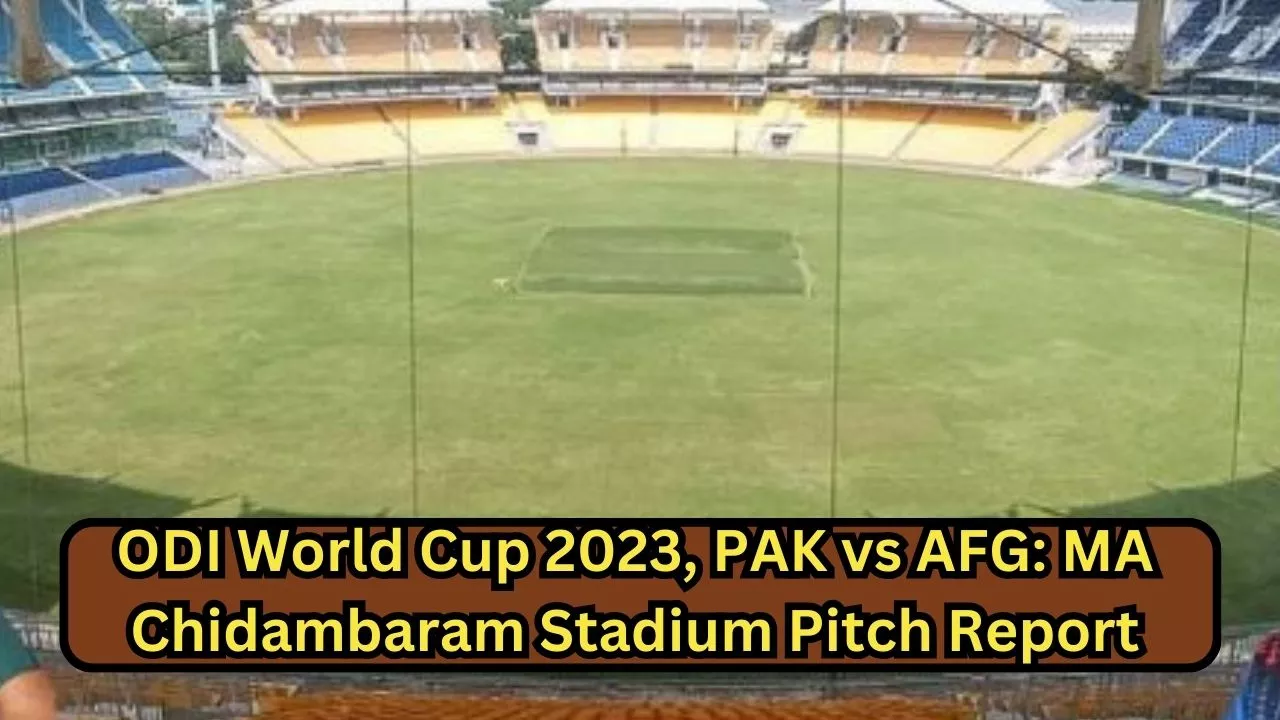 ODI World Cup 2023, PAK vs AFG MA Chidambaram Stadium Pitch Report